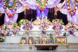 Daily Darshan