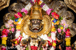 Daily Darshan
