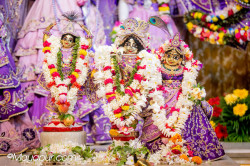 Daily Darshan