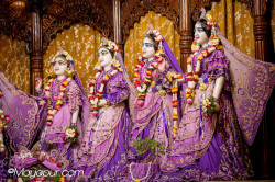 Daily Darshan