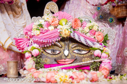 Daily Darshan