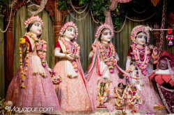 Daily Darshan