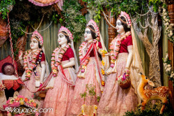 Daily Darshan