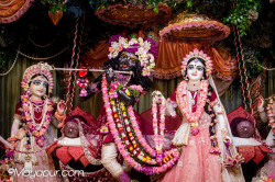 Daily Darshan