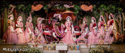 Daily Darshan
