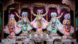 Daily Darshan