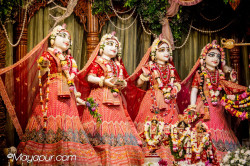 Daily Darshan