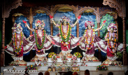 Daily Darshan