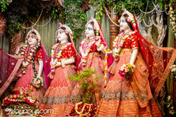 Daily Darshan
