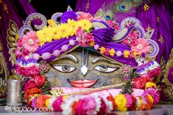 Daily Darshan