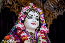 Daily Darshan