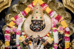 Daily Darshan