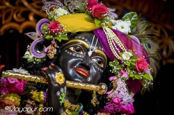 Daily Darshan