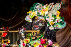 Daily Darshan