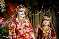 Daily Darshan