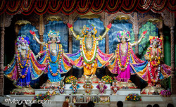 Daily Darshan
