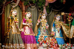 Daily Darshan