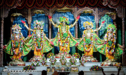 Daily Darshan