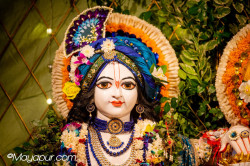Daily Darshan