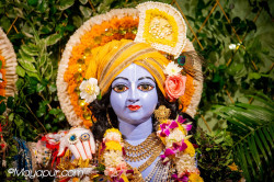Daily Darshan
