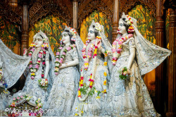 Daily Darshan