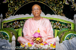 Daily Darshan