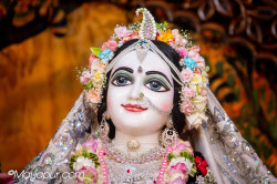 Daily Darshan