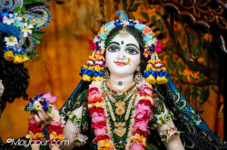 Daily Darshan