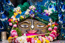 Daily Darshan