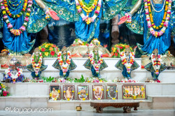Daily Darshan