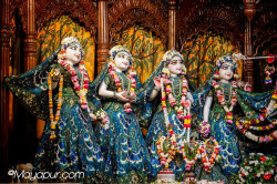 Daily Darshan