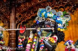 Daily Darshan