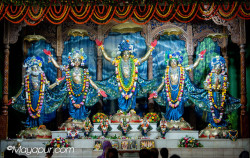 Daily Darshan
