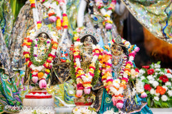 Daily Darshan