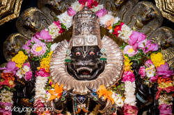 Daily Darshan