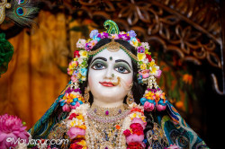Daily Darshan