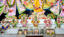Daily Darshan