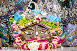 Daily Darshan