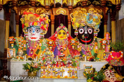 Daily Darshan