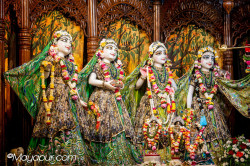 Daily Darshan