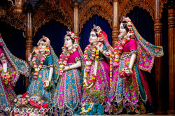 Daily Darshan