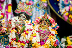 Daily Darshan