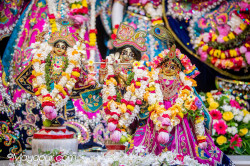 Daily Darshan
