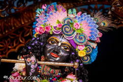 Daily Darshan