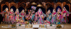 Daily Darshan