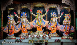 Daily Darshan
