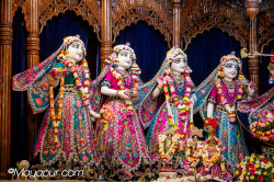 Daily Darshan