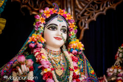 Daily Darshan