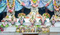 Daily Darshan