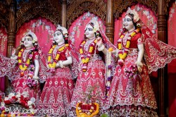 Daily Darshan